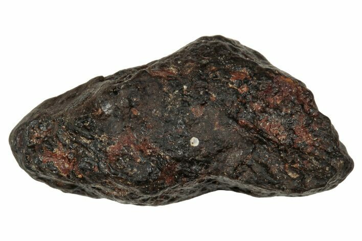 Carbonaceous Chondrite Meteorite ( g) - NWA #334503